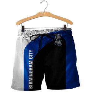 Birmingham City 3D Shirt Hoodie