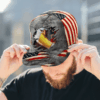 Eagle America Beer Cap
