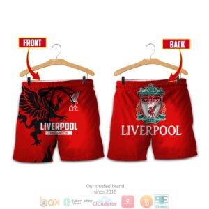 Liverpool The Reds 3D Shirt Hoodie