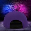 Personalized Ncaa Northwestern Wildcats The Grinch Cap